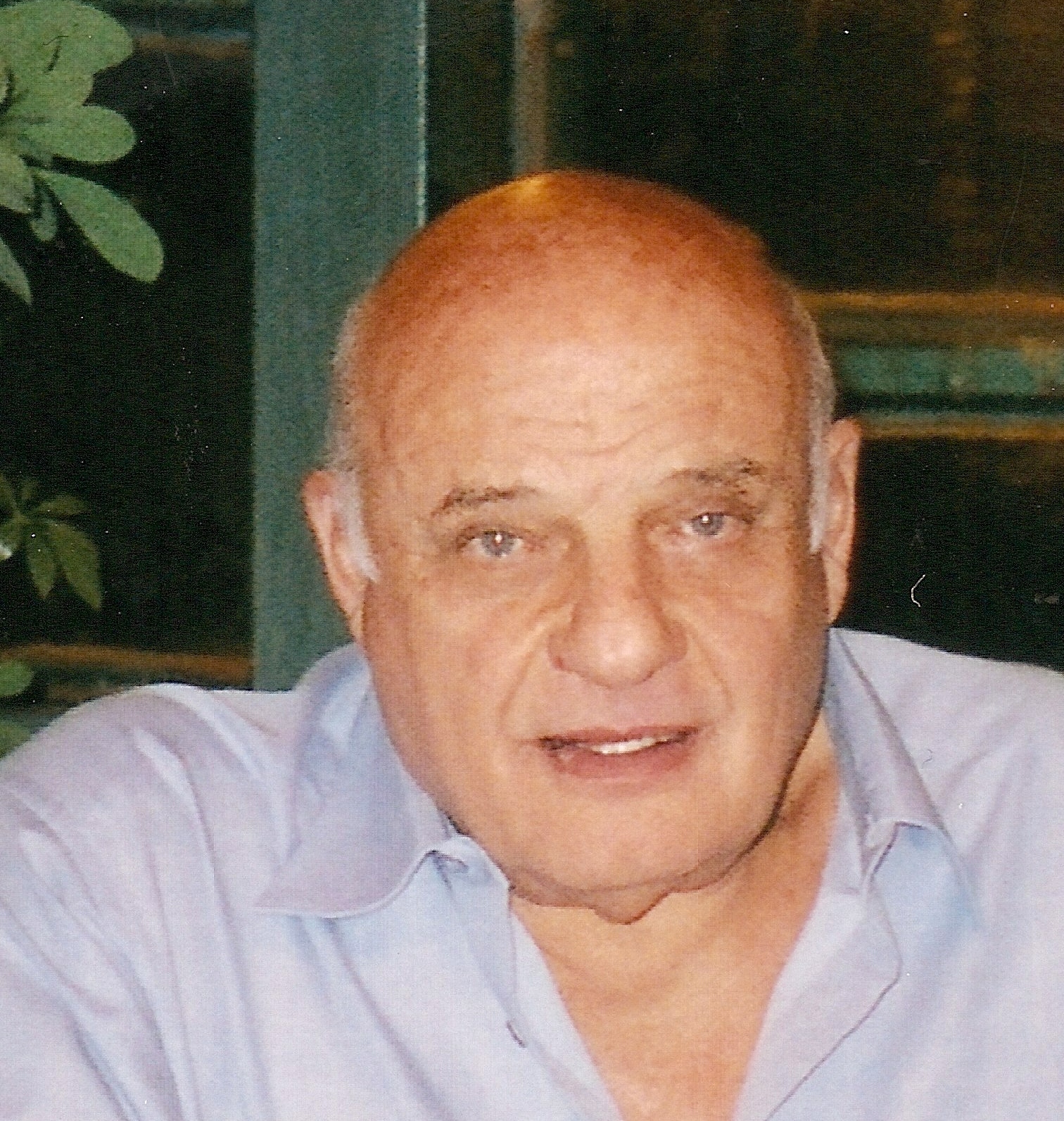 הנהלת החברה